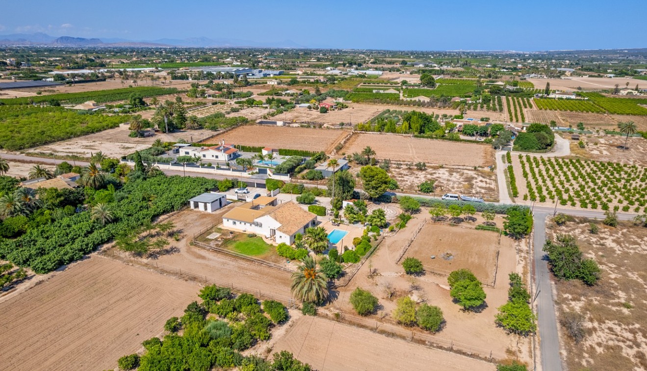 Vente - Country estate - Elche/Elx