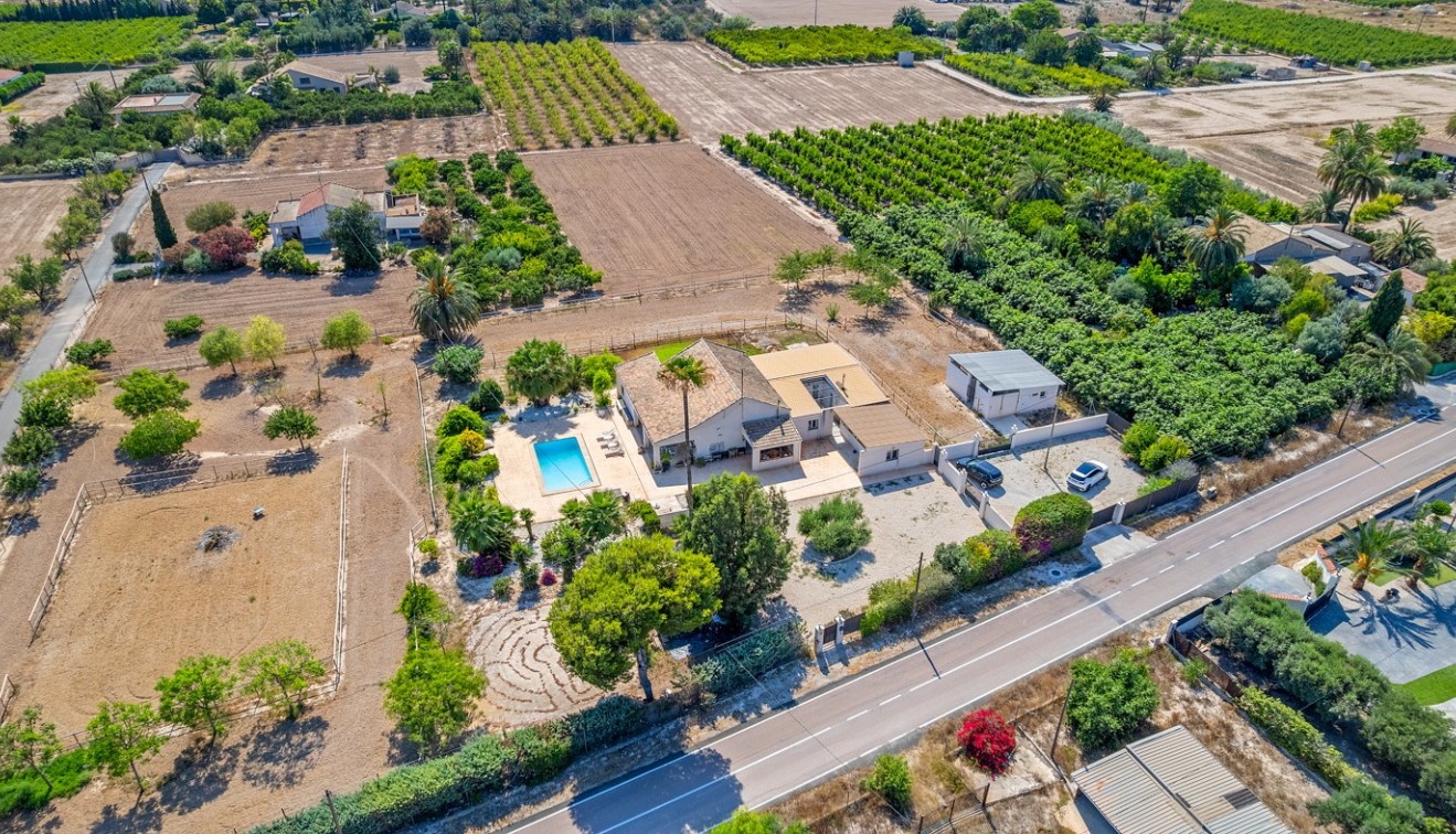 Vente - Country estate - Elche/Elx