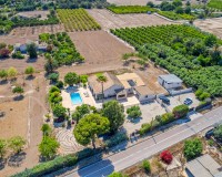 Vente - Country estate - Elche/Elx