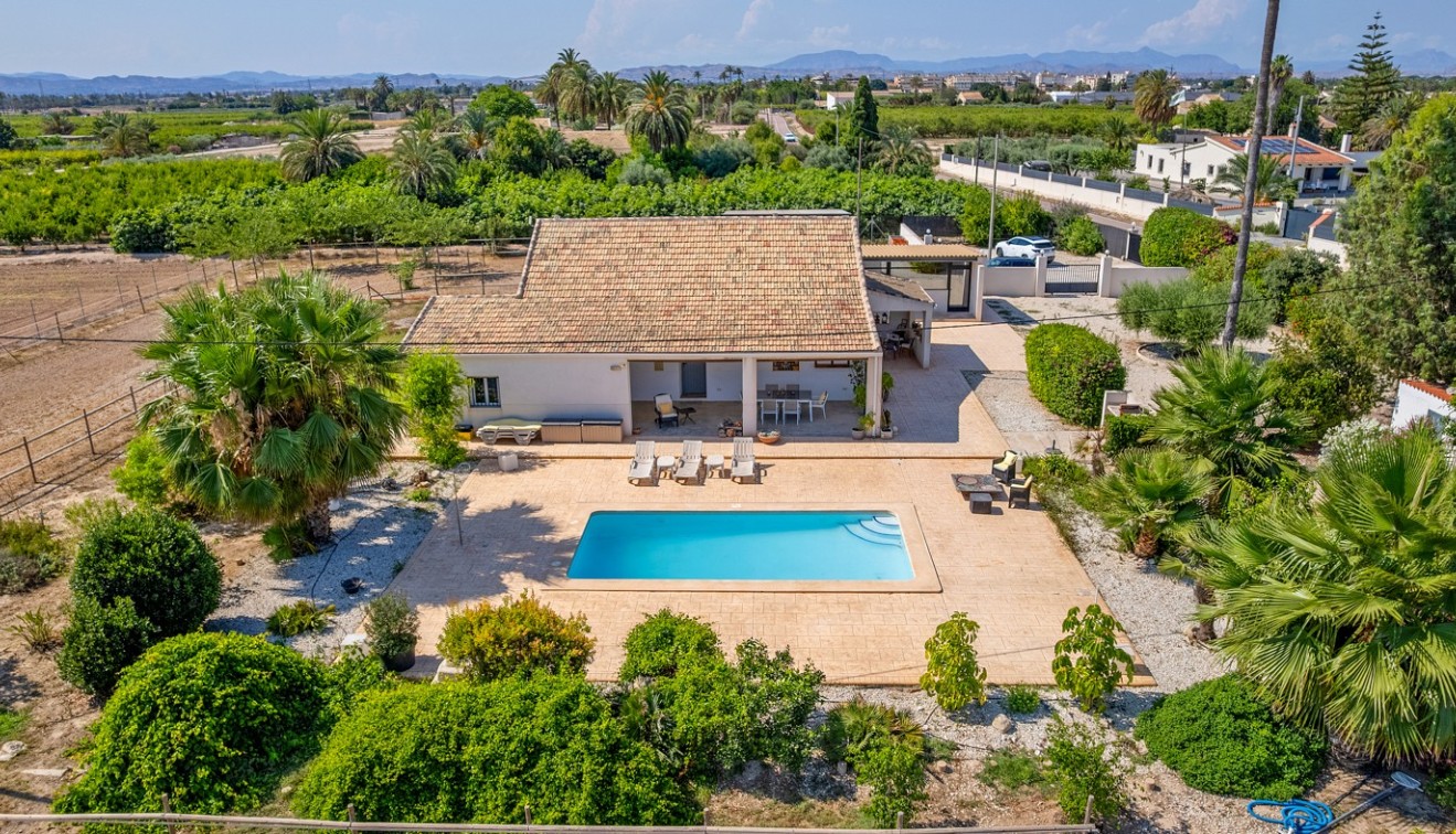 Vente - Country estate - Elche/Elx