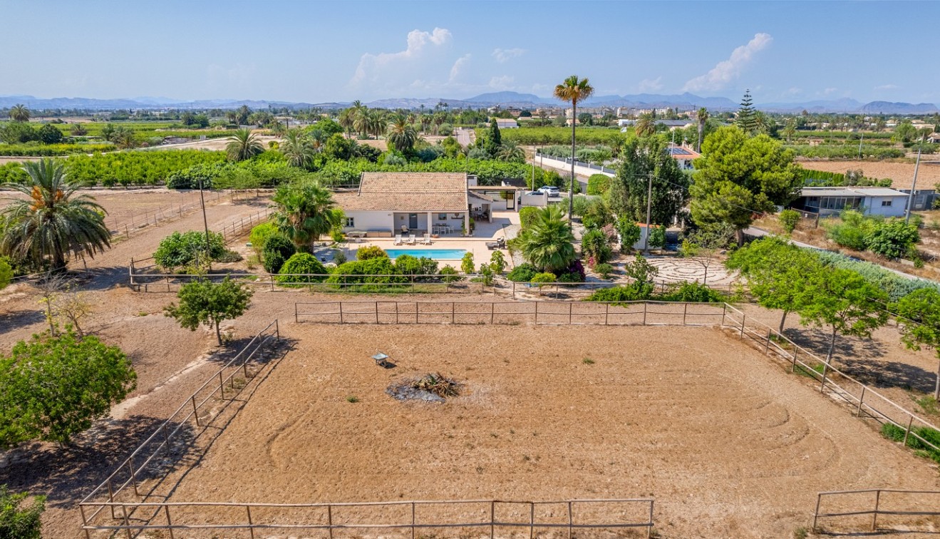 Vente - Country estate - Elche/Elx