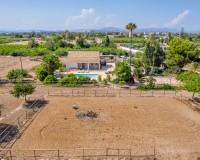 Vente - Country estate - Elche/Elx