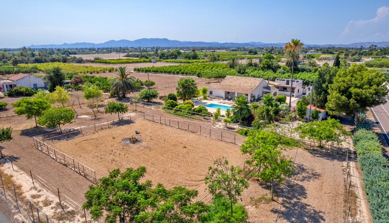 Vente - Country estate - Elche/Elx
