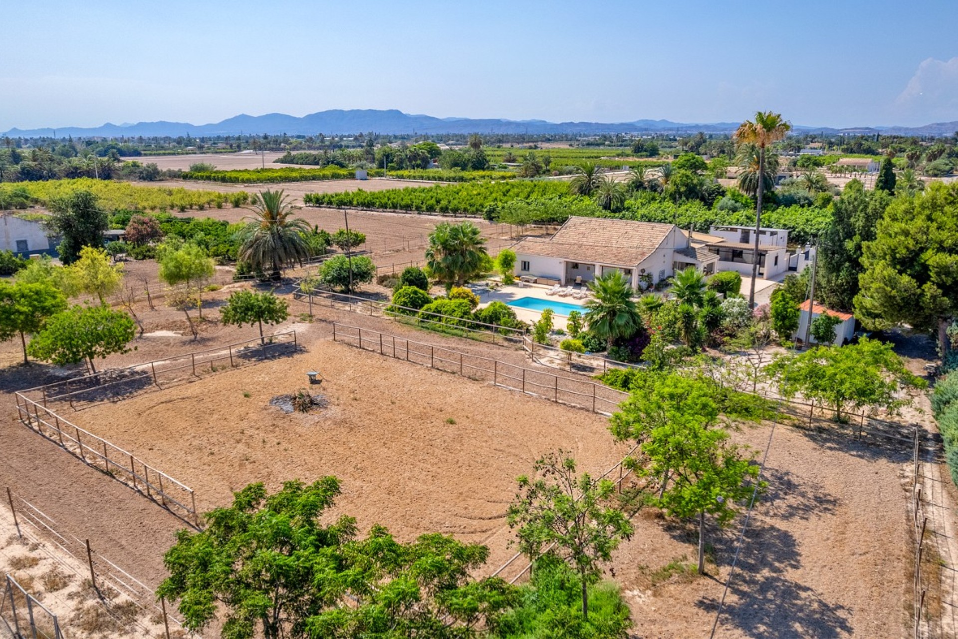 Vente - Country estate - Elche/Elx