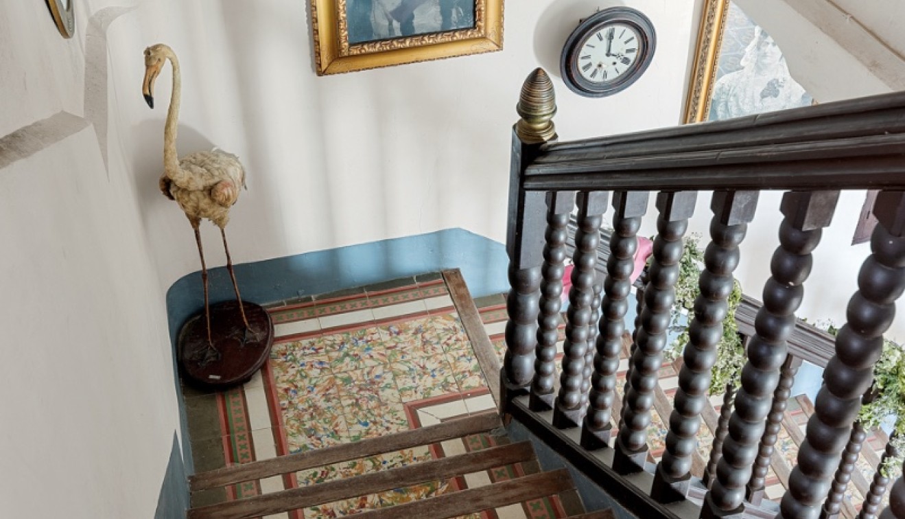 Vente - Country estate - Orihuela