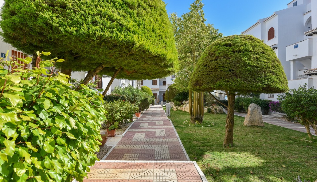 Vente - Flat - Ciudad Quesada - Rojales