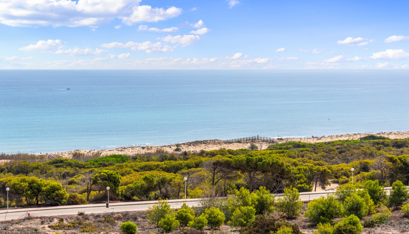 Vente - Ground Floor - Guardamar del Segura