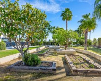 Vente - Penthouse - Villamartín