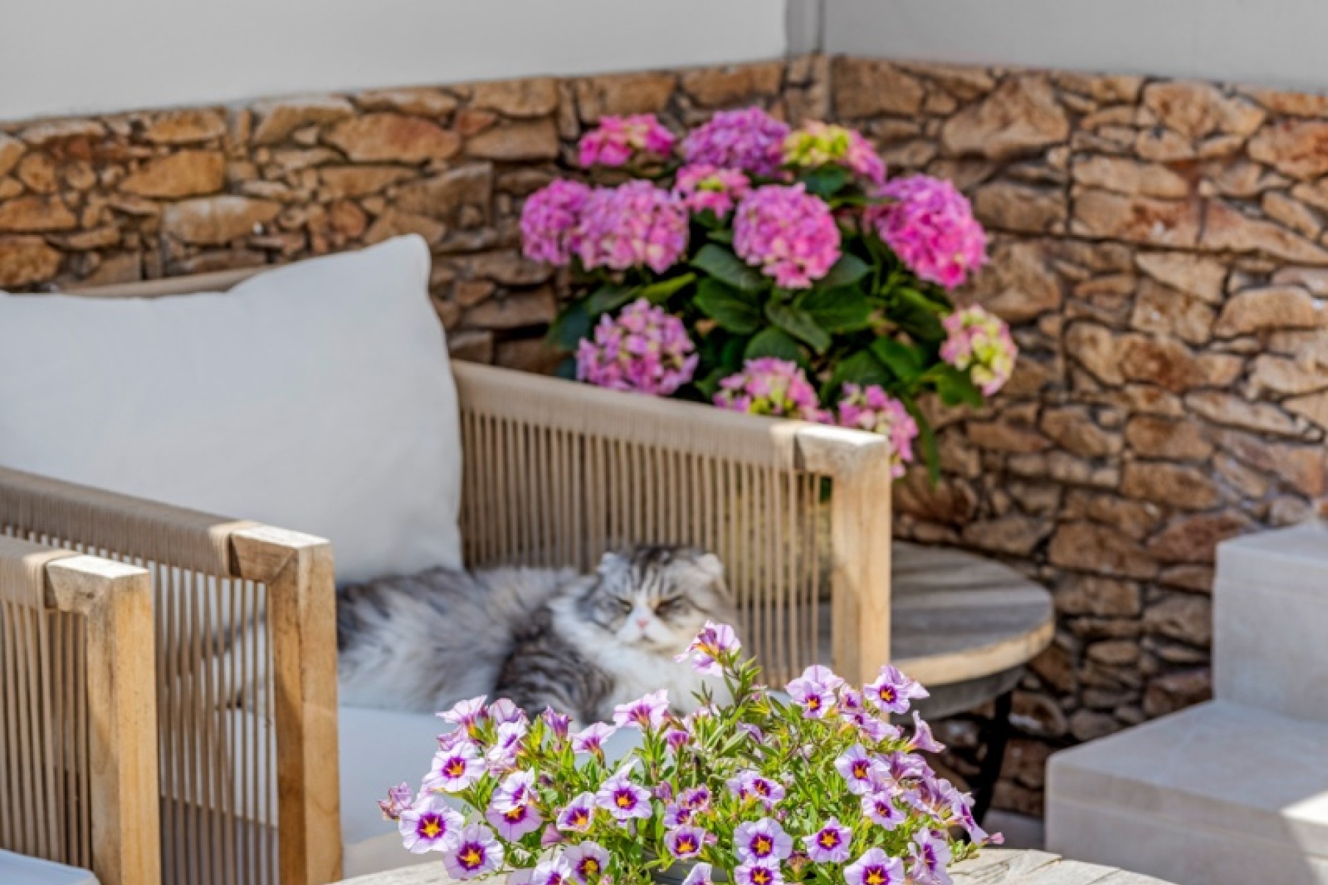 Vente - Townhouse - Alicante - Playa San Juan