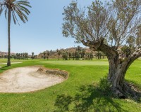 Vente - Townhouse - Ciudad Quesada - Rojales