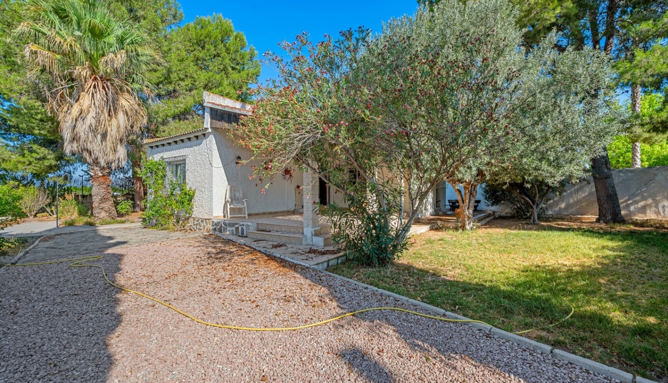 Vente - Villa - Benferri