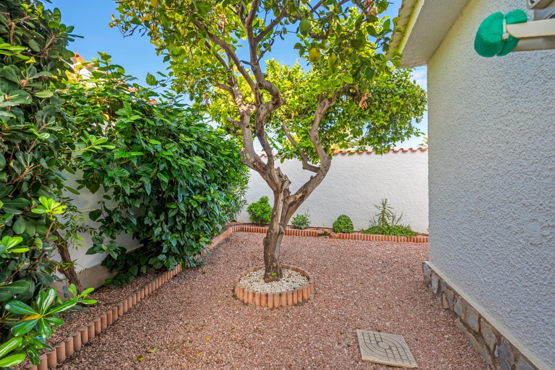 Vente - Villa - Ciudad Quesada - Rojales - Rojales