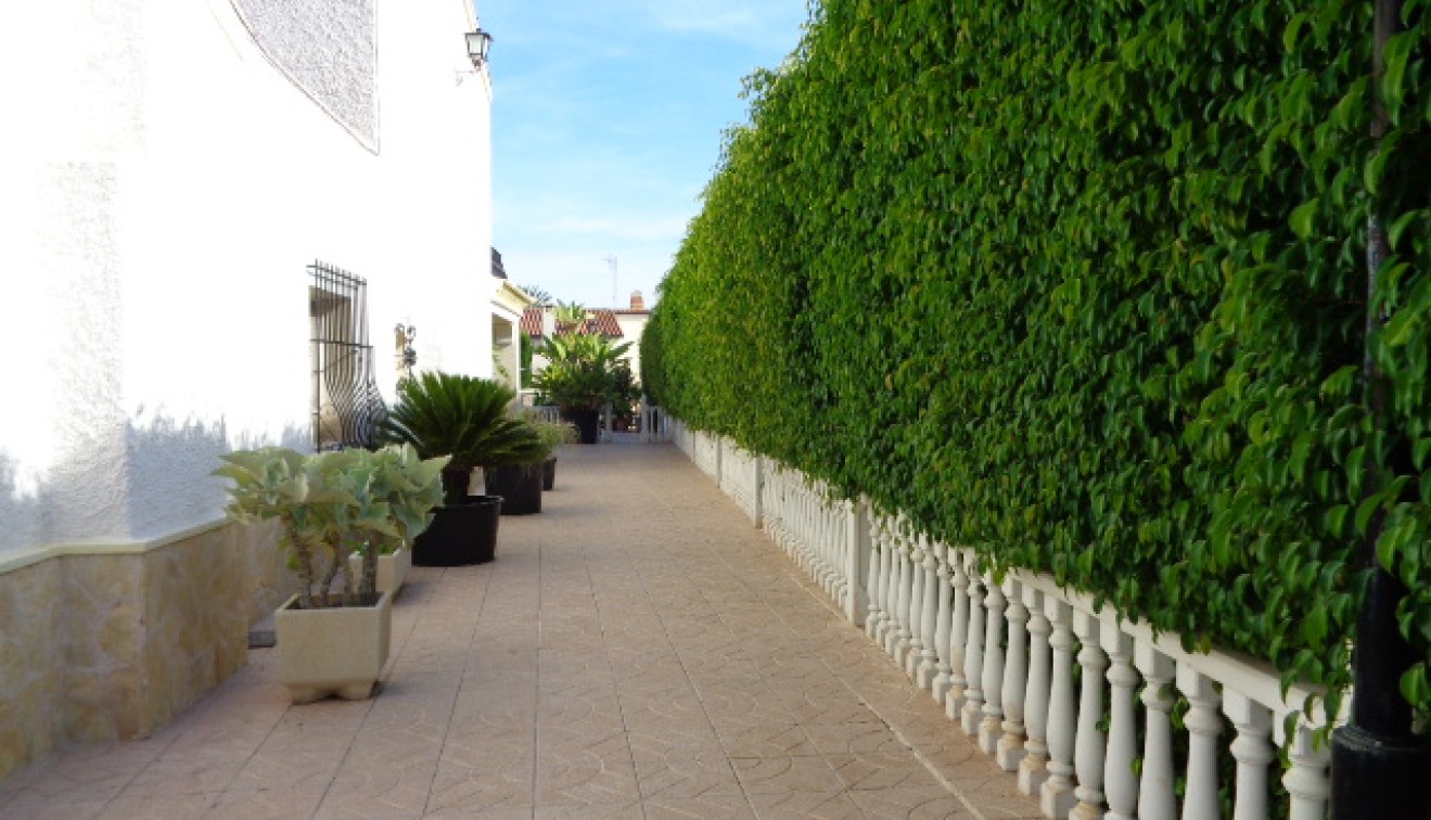 Vente - Villa - Elche/Elx