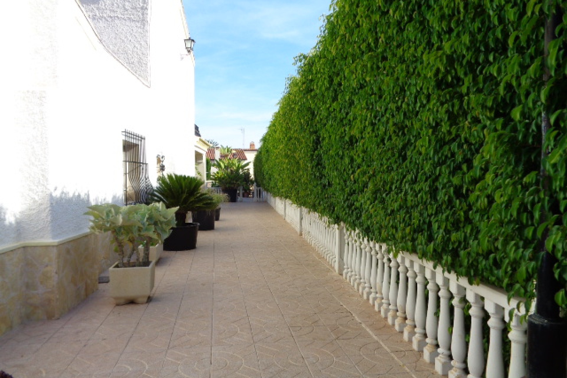 Vente - Villa - Elche/Elx