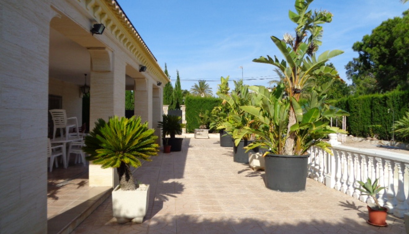 Vente - Villa - Elche/Elx