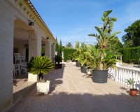 Vente - Villa - Elche/Elx