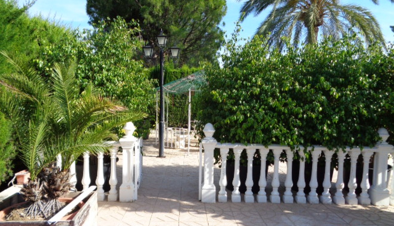 Vente - Villa - Elche/Elx