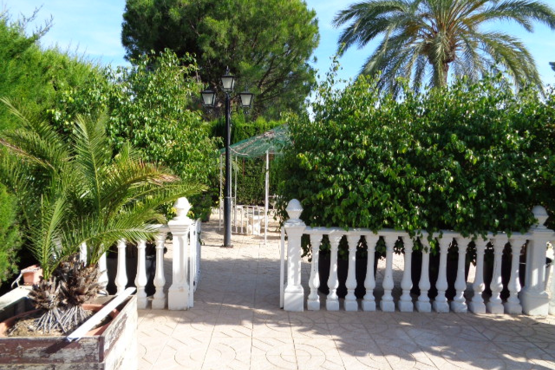 Vente - Villa - Elche/Elx