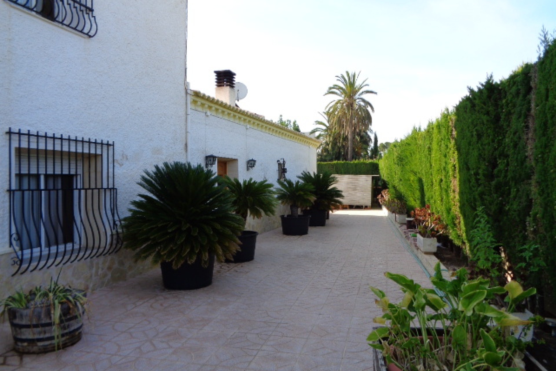 Vente - Villa - Elche/Elx