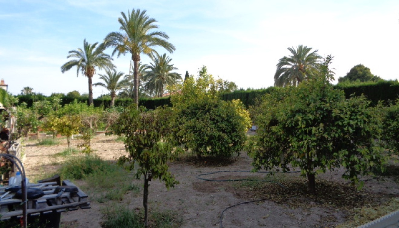 Vente - Villa - Elche/Elx