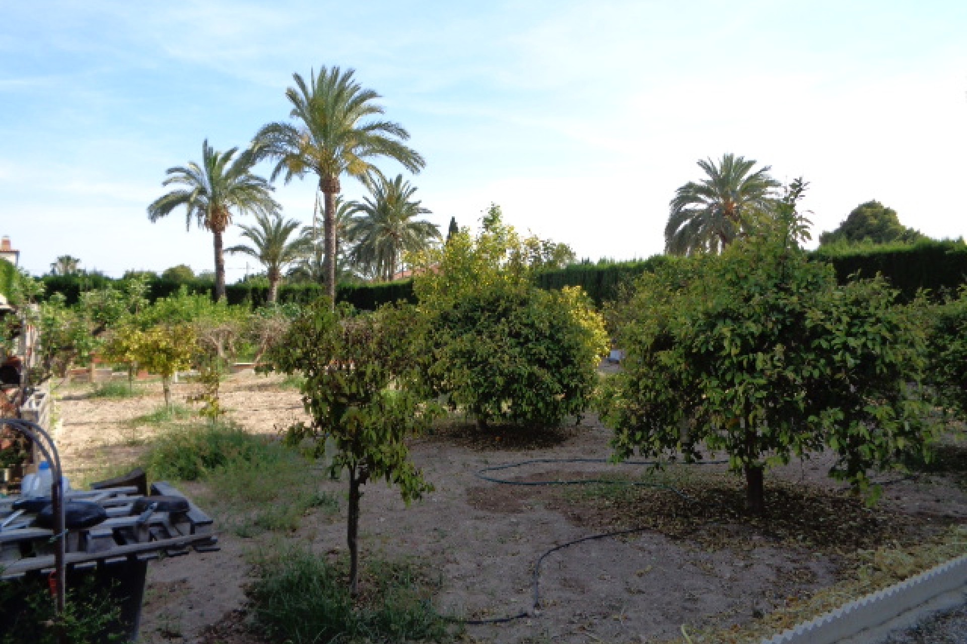 Vente - Villa - Elche/Elx