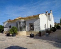 Vente - Villa - Elche/Elx