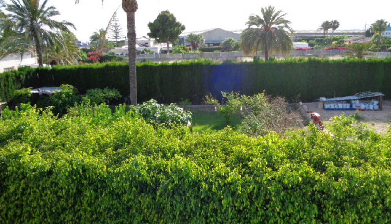 Vente - Villa - Elche/Elx