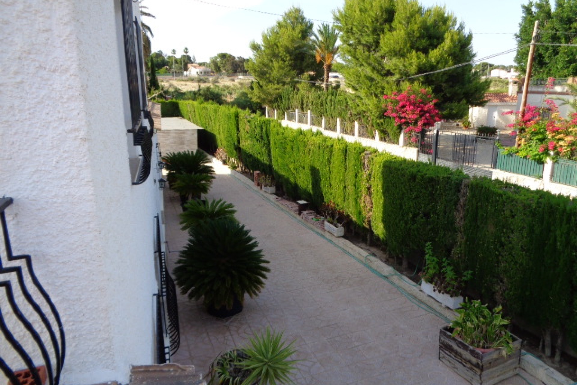 Vente - Villa - Elche/Elx