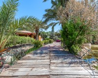 Vente - Villa - Elche/Elx