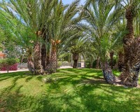 Vente - Villa - Elche/Elx