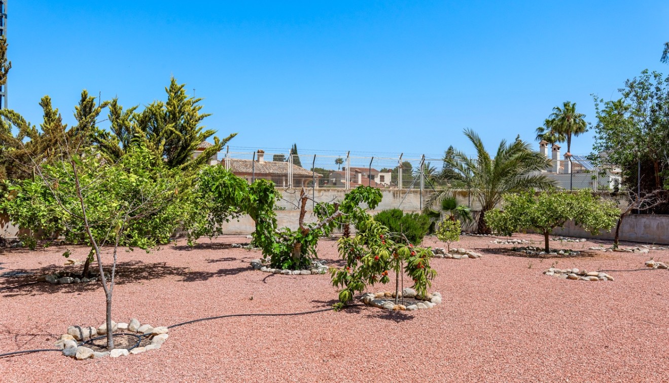 Vente - Villa - Elche/Elx