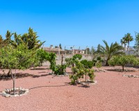 Vente - Villa - Elche/Elx