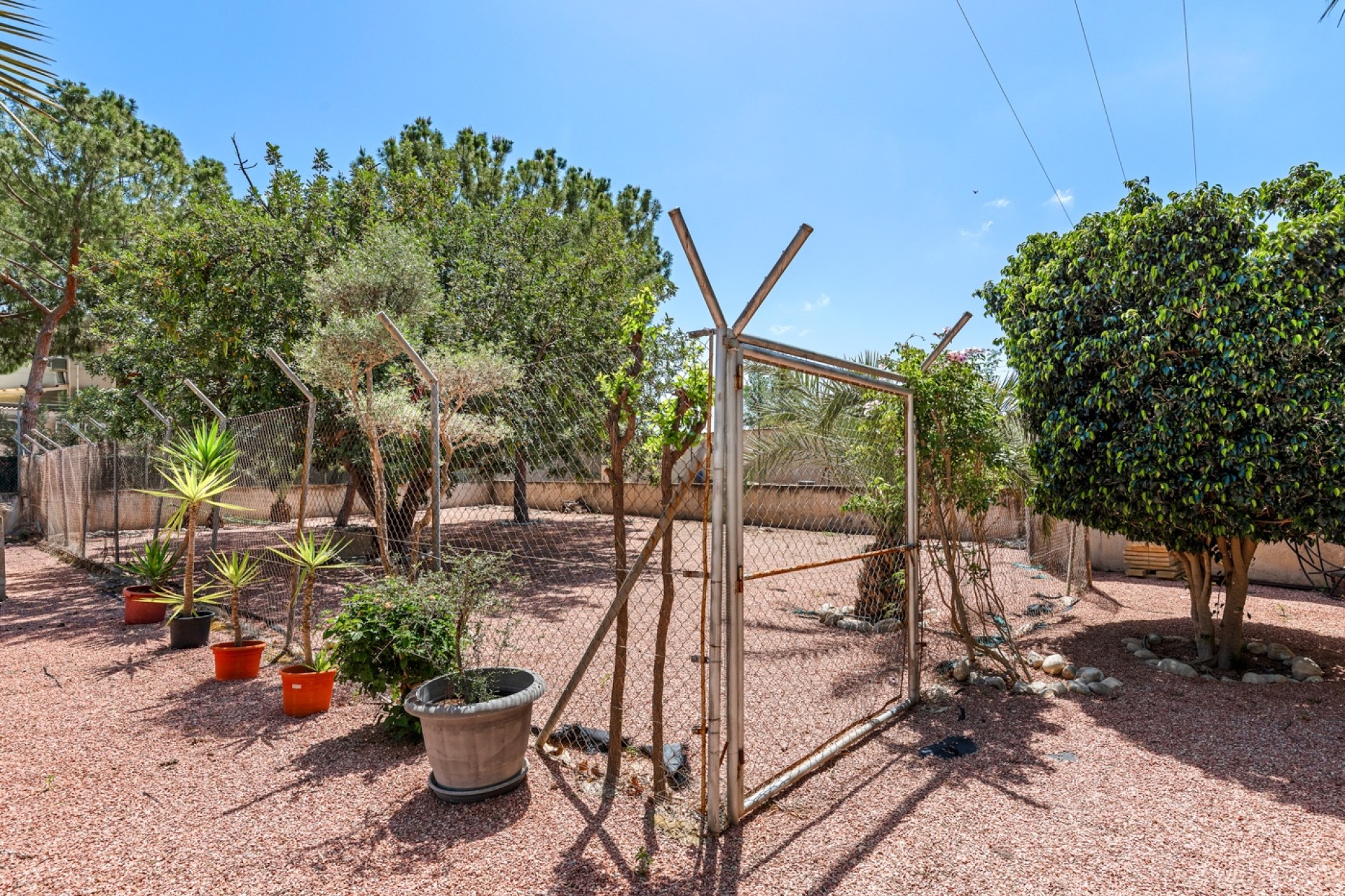 Vente - Villa - Elche/Elx