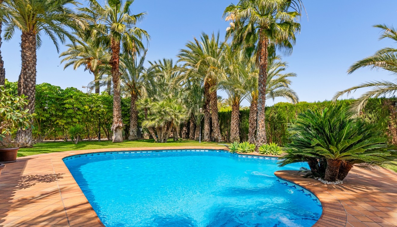 Vente - Villa - Elche/Elx