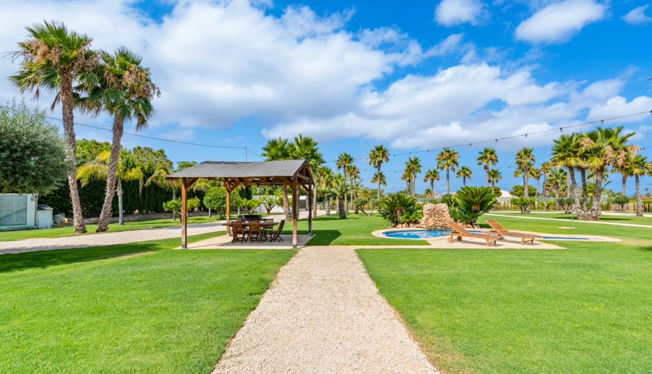 Vente - Villa - Elche/Elx