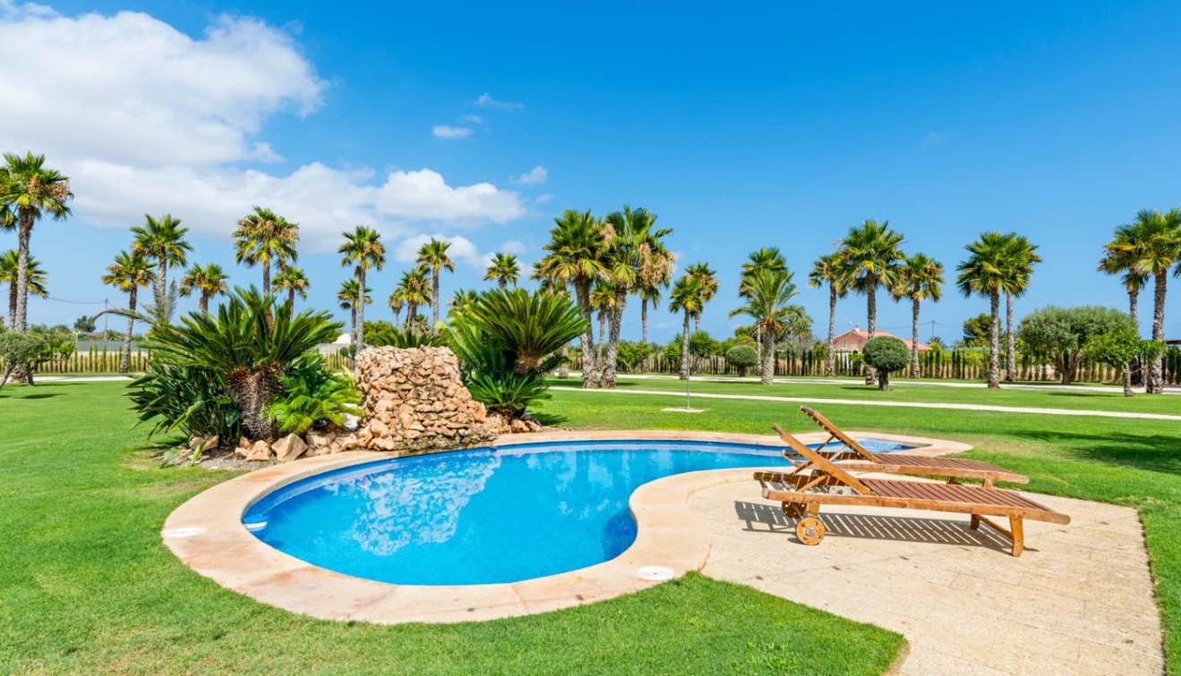 Vente - Villa - Elche/Elx