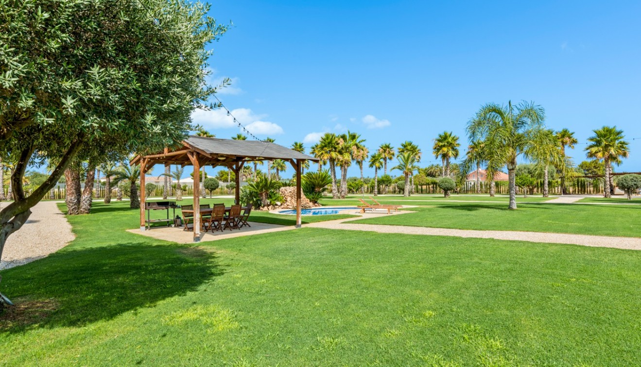 Vente - Villa - Elche/Elx