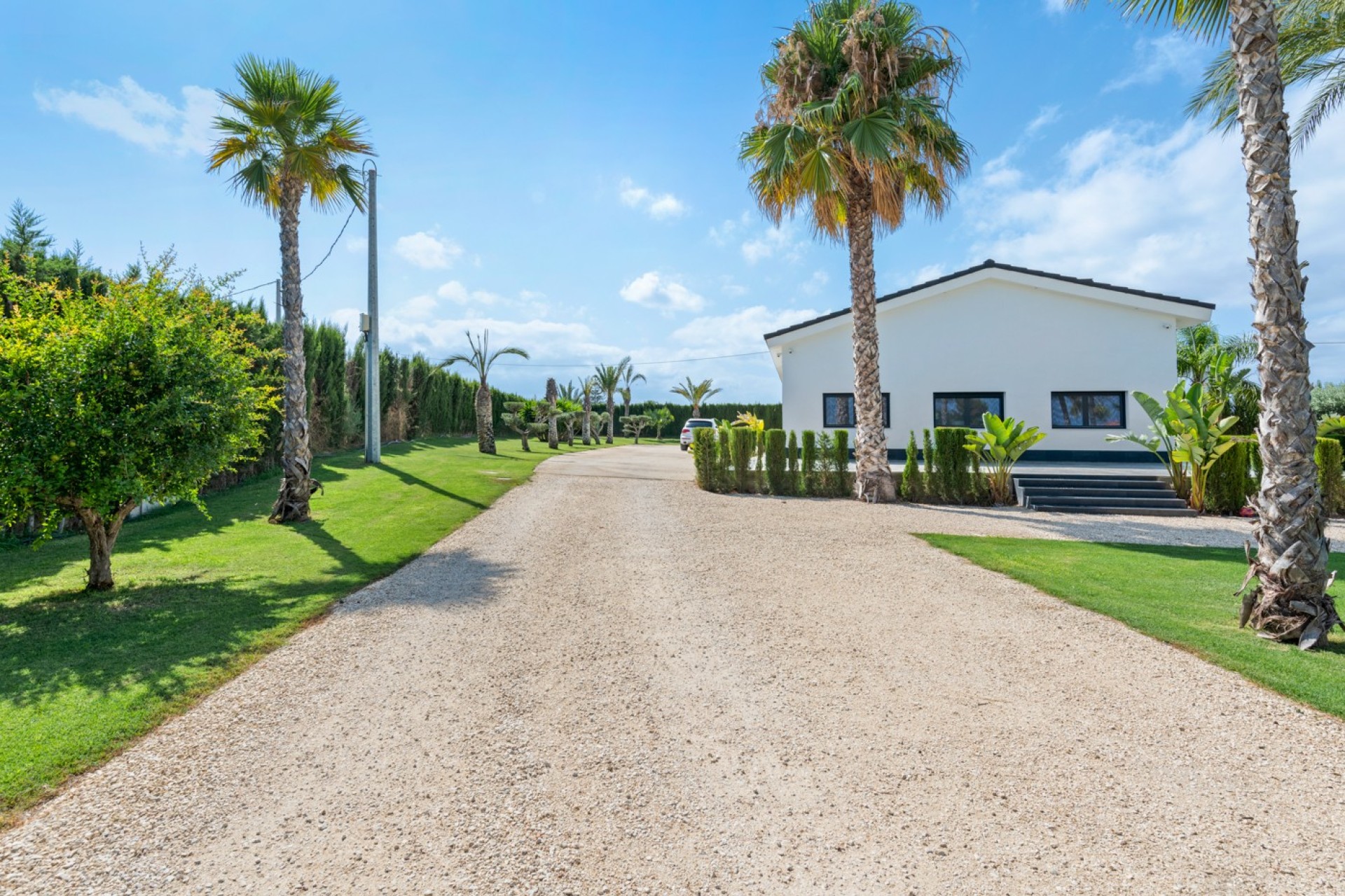 Vente - Villa - Elche/Elx