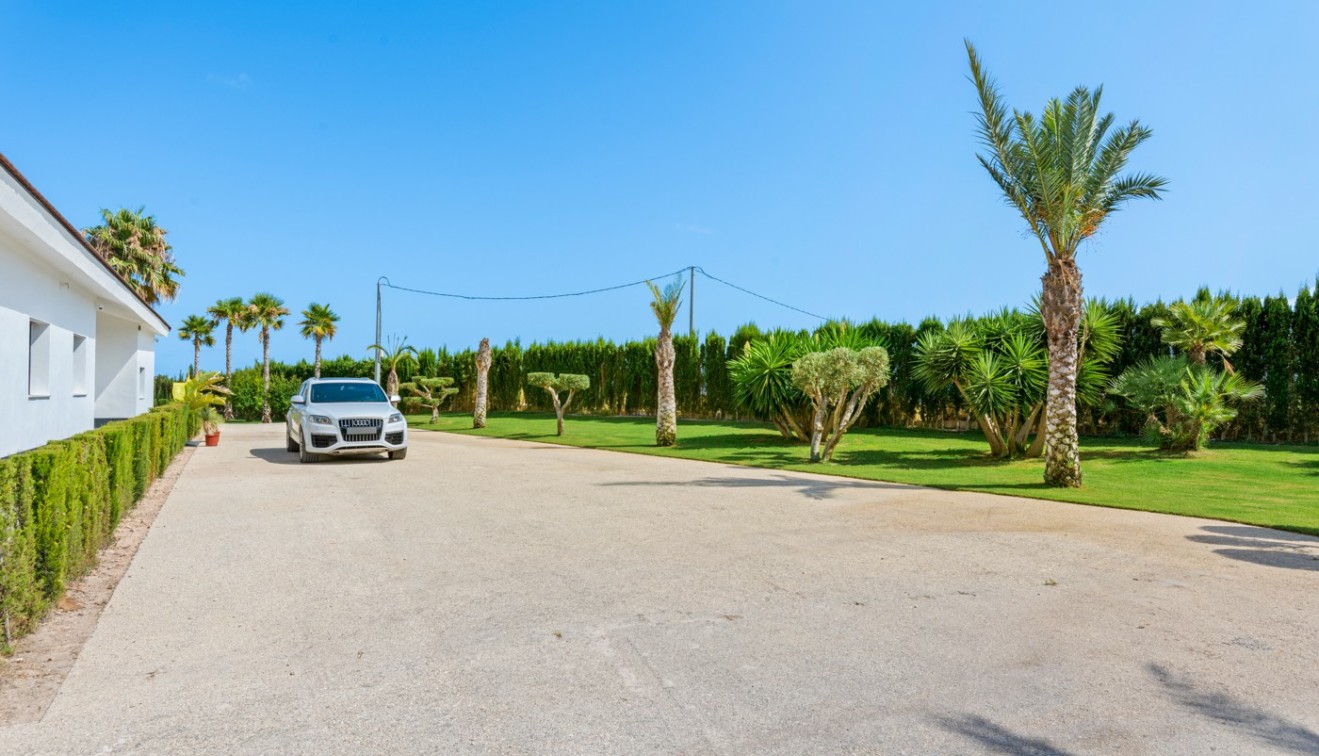 Vente - Villa - Elche/Elx