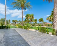 Vente - Villa - Elche/Elx