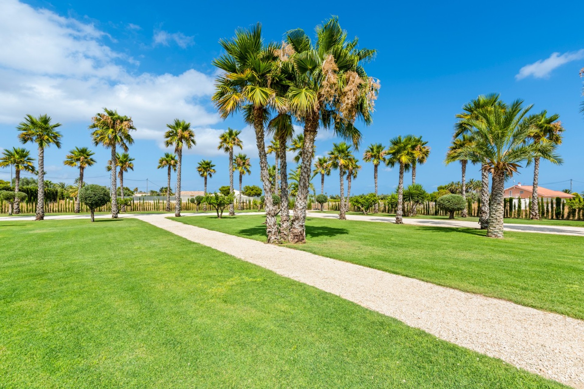 Vente - Villa - Elche/Elx