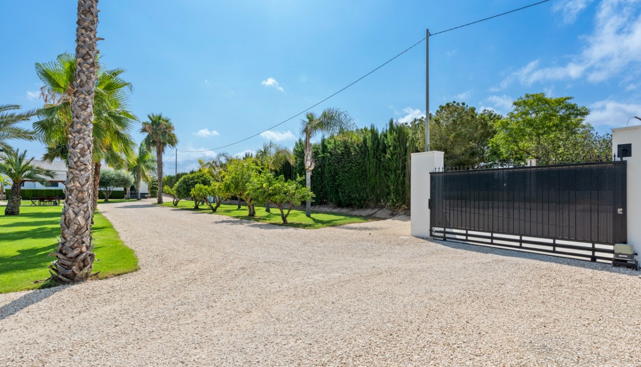 Vente - Villa - Elche/Elx