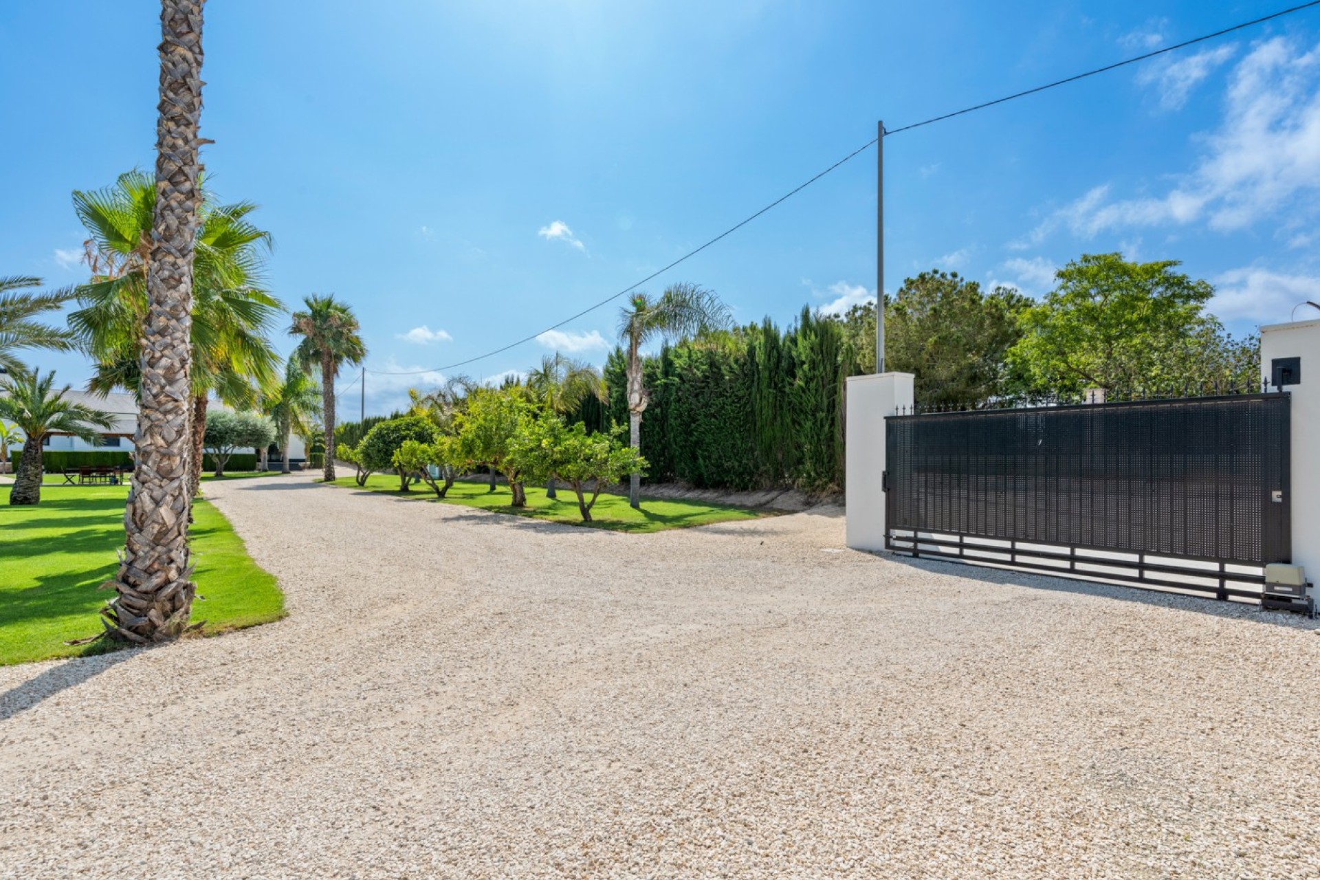 Vente - Villa - Elche/Elx