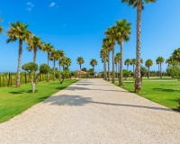 Vente - Villa - Elche/Elx