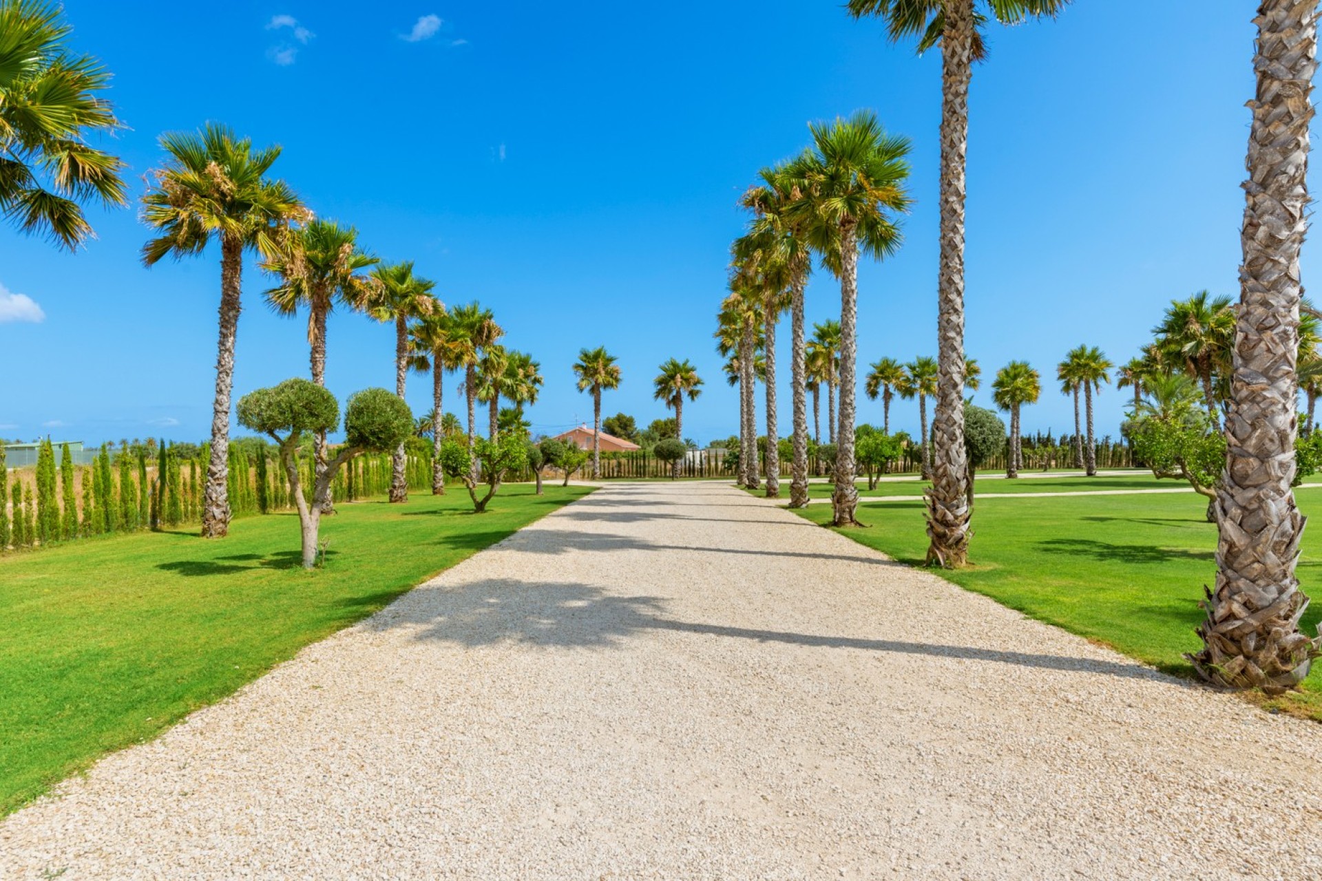 Vente - Villa - Elche/Elx