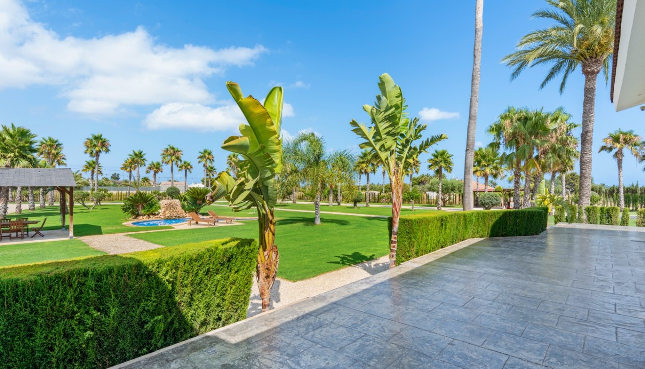 Vente - Villa - Elche/Elx