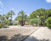 Vente - Villa - Elche/Elx