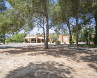 Vente - Villa - Elche/Elx