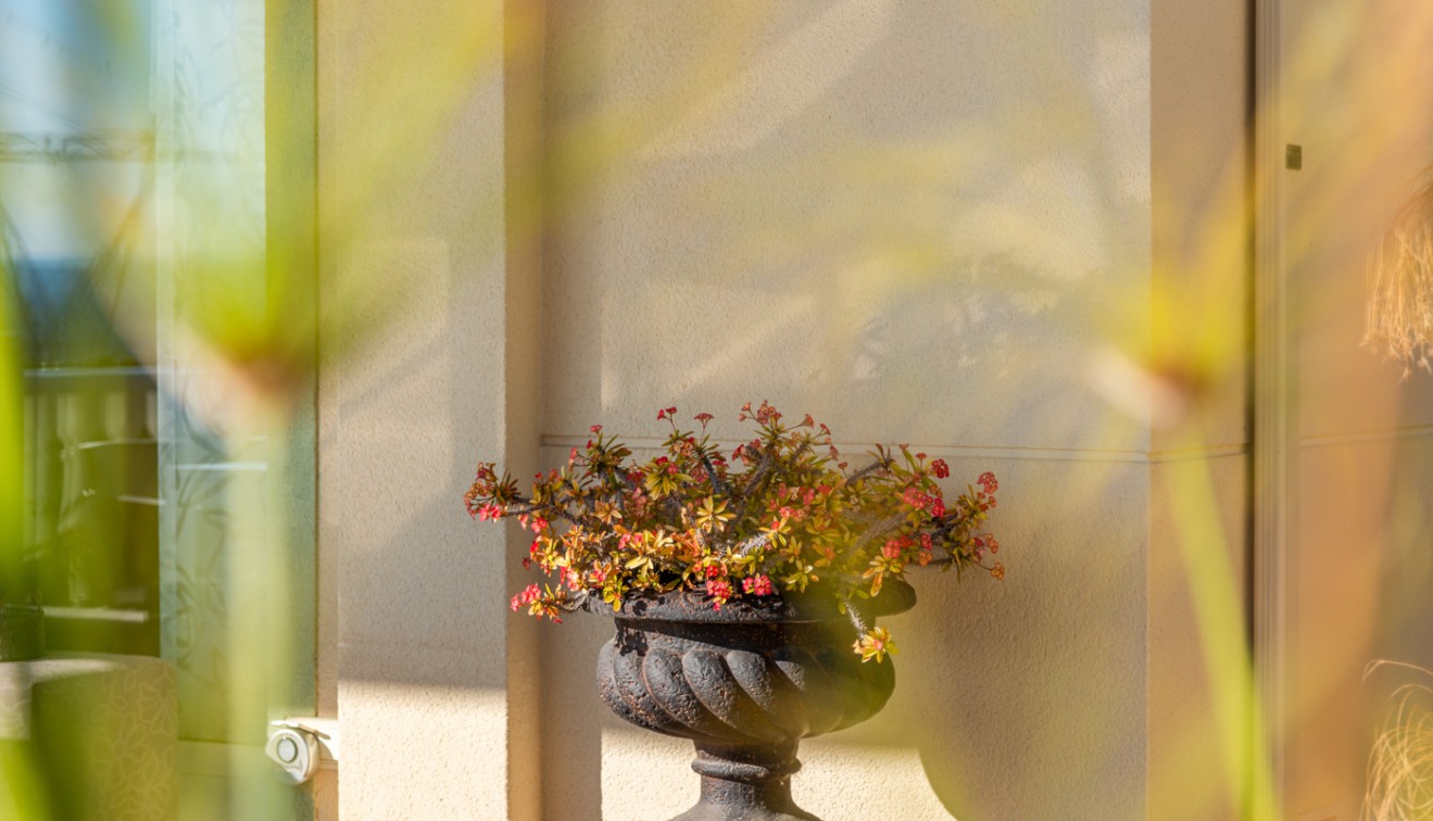 Vente - Villa - San Fulgencio - Oasis