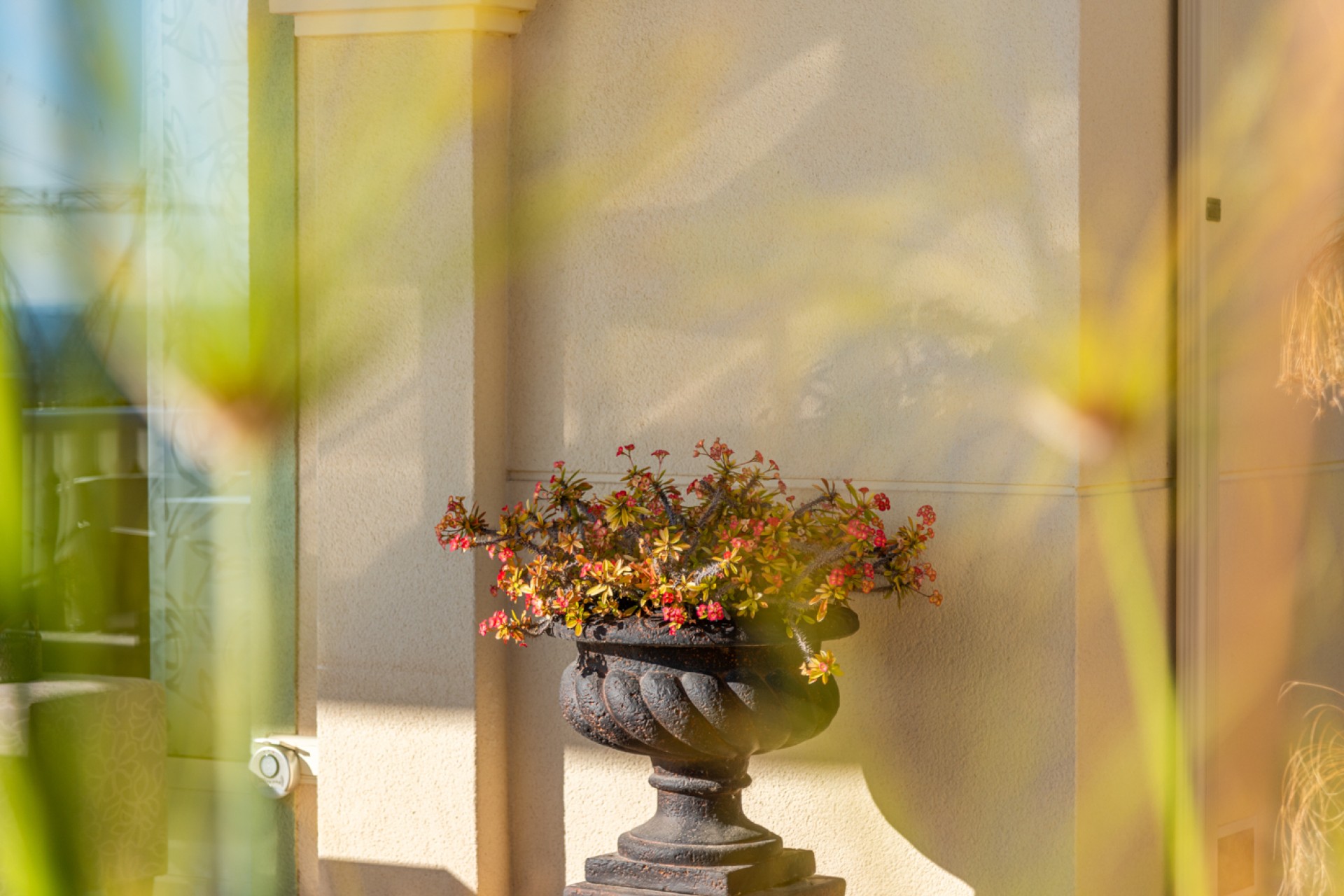 Vente - Villa - San Fulgencio - Oasis